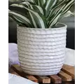 Palm Spring 6.5" Honey Comb Planter Ssl