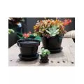 Verandah 8x6.5 Standard with Saucer Black
