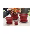 Verandah 2.5 Sq with Saucer Trph Red