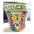 Bella 12" Flower Pot Lime