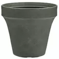 Crescent Ridge Cir+ Planter Medium Juniper