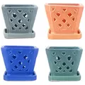 MCarr 6PC 5" Sq Diamond Orchid Pot Mixed Asst