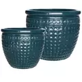 MCarr 8pc Diamond Planter Pallet Peacock