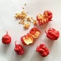 Peppers, Carolina Reaper - 10,000 Seed Count