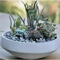 PHG 8"x3" Geometry Low Sphere Planter Polished Concrete