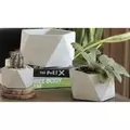 PHG 3.5"x2" Geometry Pentagon Planter Polished Concrete