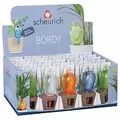 Scheurich Small Bordy Assorted Planter