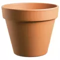 Southern Patio 6" Standard Clay Pot