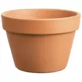 Southern Patio 6" Azalea Clay Pot