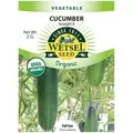 Organic Straight 8 Cucumber - 2 Gram
