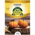 HEIRLOOM, PUMPKIN JACK B LITTLE