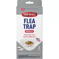 Enoz Trap-N-Kill Flea Trap Refill