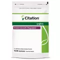 Syngenta Citation 75W 15.96oz (8/Cs) ( cyromazine )