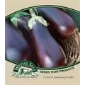 Eggplant, Black Beauty - 1oz