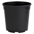 DLN 01.00QT PEREN POT T/W TL BLK 475/CS 33CS/PL