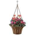 Deer Park Solera Hanging Basket With Coco Liner