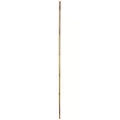 Gardener's Blue Ribbon Bulk 6'x1" Super Bamboo