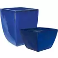 MCarr 32pc Camillia Planter Pallet Admiral Blue