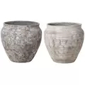 MCarr 24pc Round Planter Pallet Mixed Colors