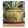 Jewel 4.5" Self Watering Pot Rnf