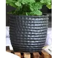 Palm Spring 7.5" Honey Comb Planter Sgy