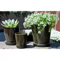 Verandah 4.5" Lilac Sz B Tgn
