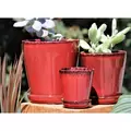Verandah Lilac Size B Trd