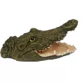 Dalen 16.8" Floating Alligator Open Mouth Hand Painted