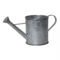 Pond Boss Watering Can Spitter And Planter Silver