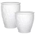 MCarr 30pc Round Fern Planter Pallet White