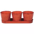 Robert Allen 4" Concord Garden Planter Set Tango