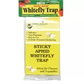 Sticky Aphid Whitefly Trap 3/Pack (1 = 24/Cs)