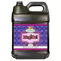 MagiCal 10 Liter (2/Cs)