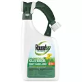 RoundUp 32oz RTS Roundup for Lawns