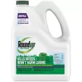 RoundUp 1gal Lawns Southern RTU Refill