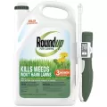 Roundup 1gal For Lawns North RTU Extended Wand