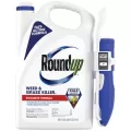 Roundup 60pc 1gal Weed & Grass Killer RTU Wand
