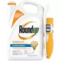 Roundup 32oz Poison Ivy Brush Killer RTU Wand