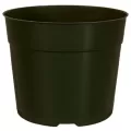 DLN 05.50 RND AZ TRAD T/W TX600 BLK 544/CS 30CS/PL