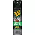 Black Flag 17.5oz Ant & Roach Spring Fresh Aerosol