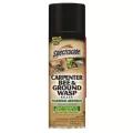 Spectracide 16oz Carpenter Bee & Ground Wasp Foam