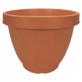 ITML CBU1550 15.50 CENTABELA PLNTR CLAY 12/CS 36/P