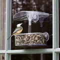 Droll Yankee 7"x3"x2" Observer Window Feeder