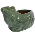 MCarr 13.4" Frog Planter Falling Green