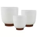 MCarr 24pc 4.3" X-Small Planter Set White