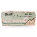 Mossify 150g Sphagnum Moss