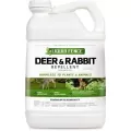 Liquid Fence 2.5gal Conc Deer & Rabbit Repellent