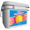 GH MaxiBloom 16 lb