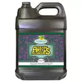 Awesome Blossoms 10 Liter (2/Cs)