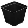 Gro Pro Black Plastic Pot 3.5 in x 3.5 in x 3 in (800/Cs)